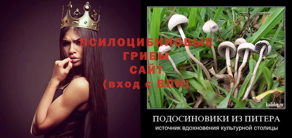 скорость Рославль